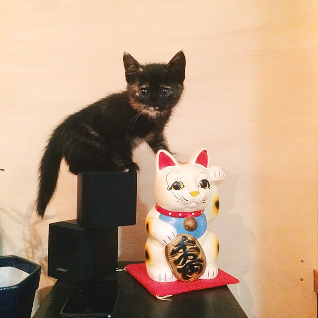 kuginashiさんの実例写真