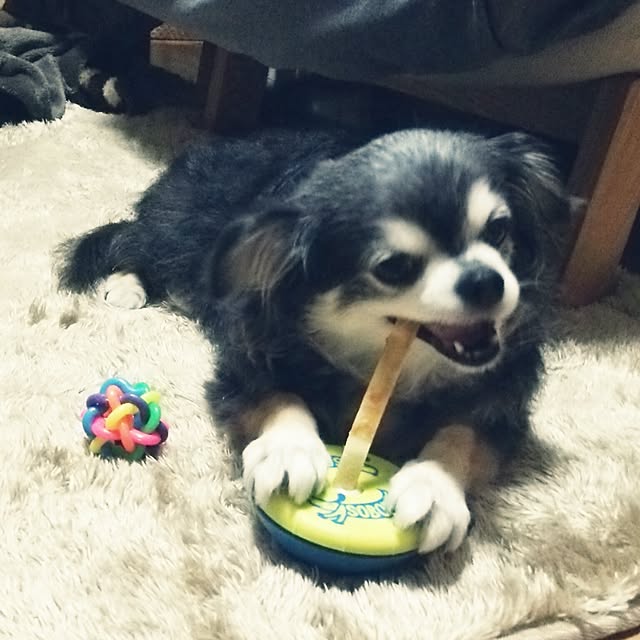satominさんの実例写真