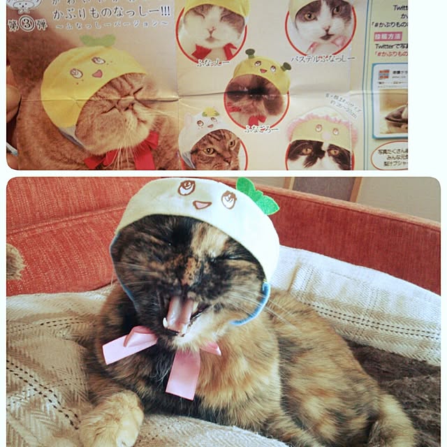 k.namiさんの実例写真