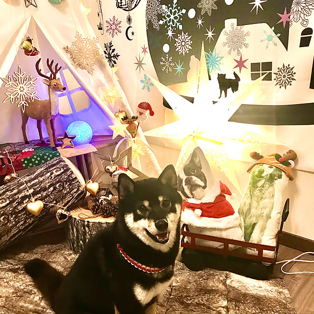 oyasumiさんの実例写真