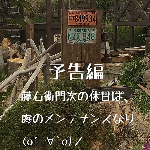 TOUEMONさんの実例写真
