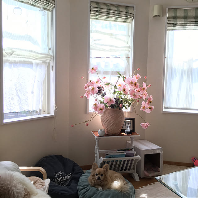 chocomamaさんの実例写真