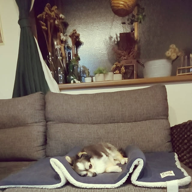 mizuさんの実例写真