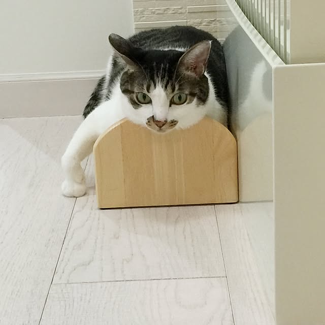 yuchiさんの実例写真