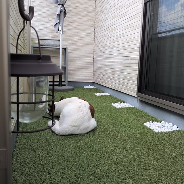 kaiさんの実例写真