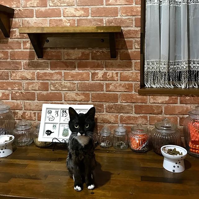 butachanさんの実例写真