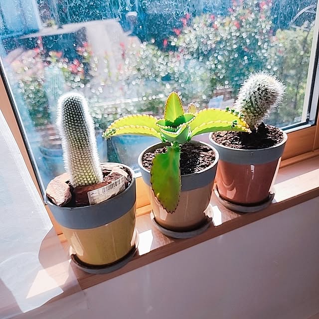 saさんの部屋