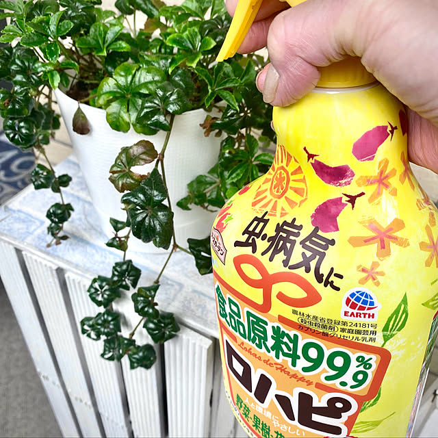 YuuKoさんの実例写真