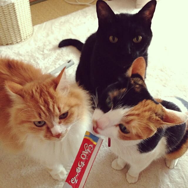 aym0418さんの実例写真