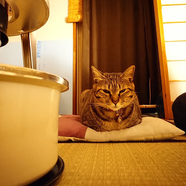 raraさんの実例写真