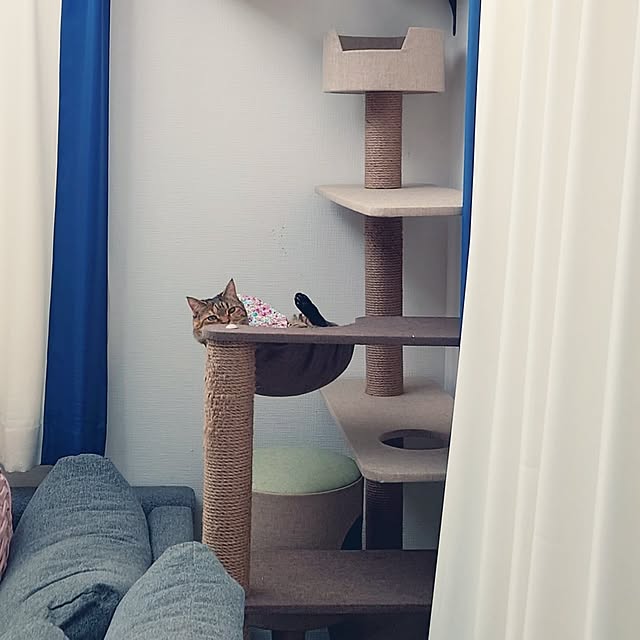 mochicoさんの部屋