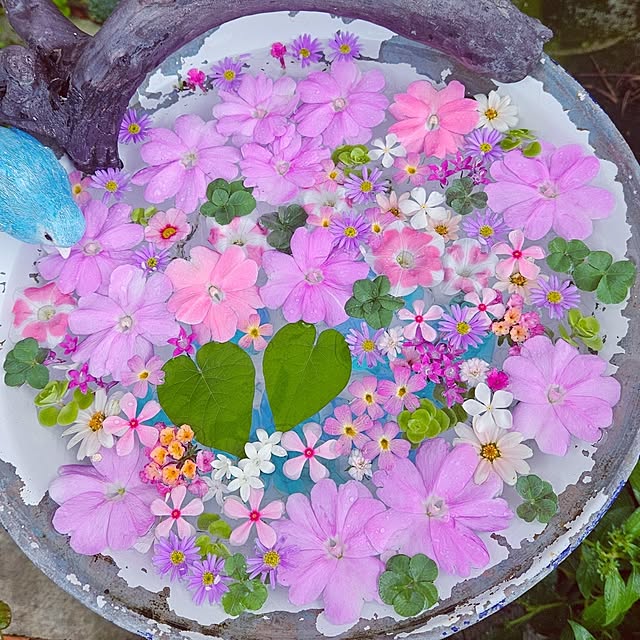 mocomocoさんの部屋
