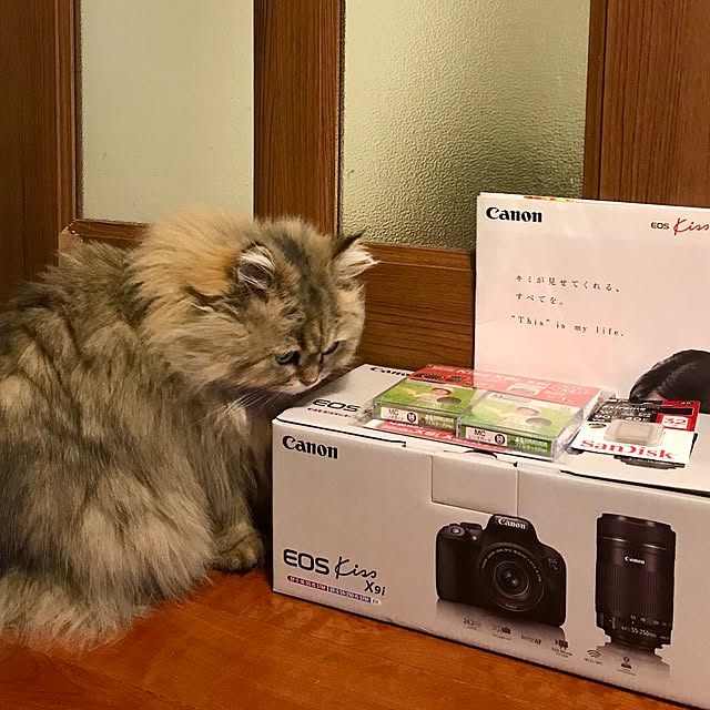 butachanさんの実例写真