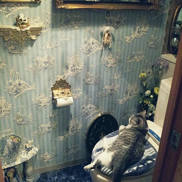 emmyyさんの実例写真
