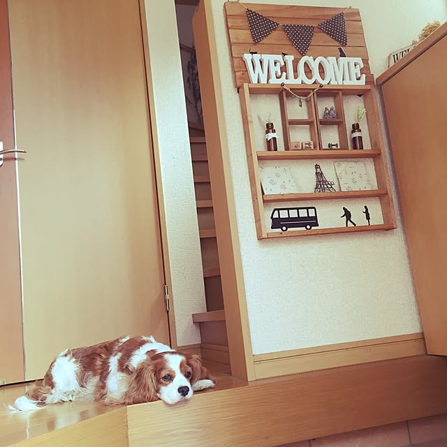 canmilmamaさんの実例写真