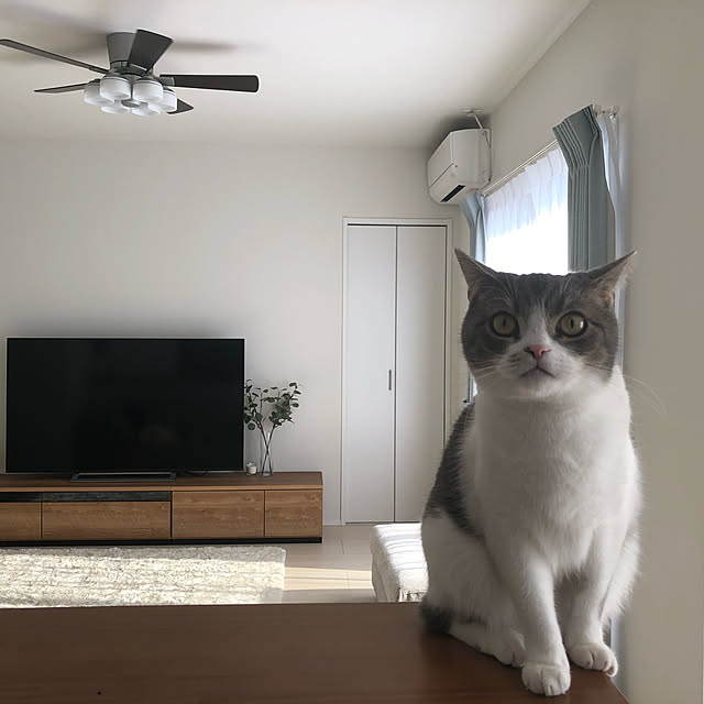 k.さんの実例写真