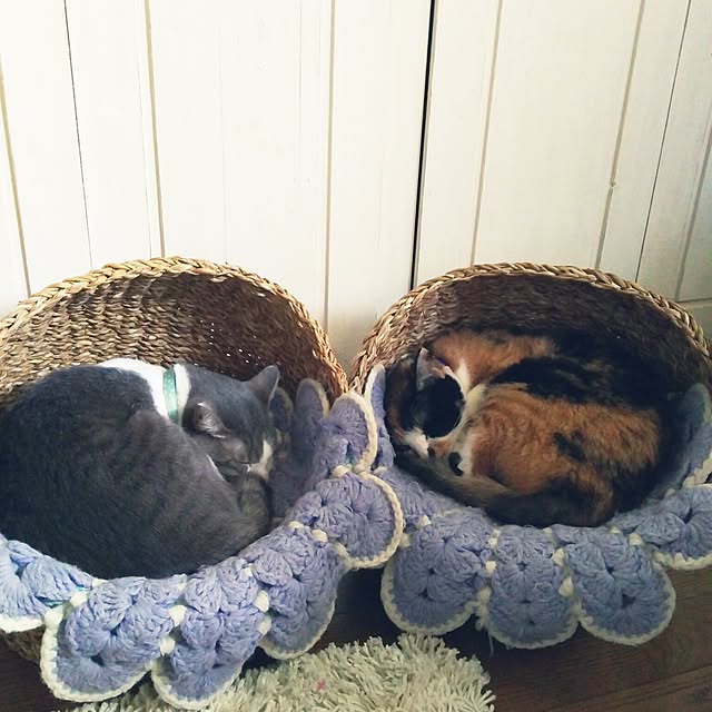 kurumiさんの実例写真
