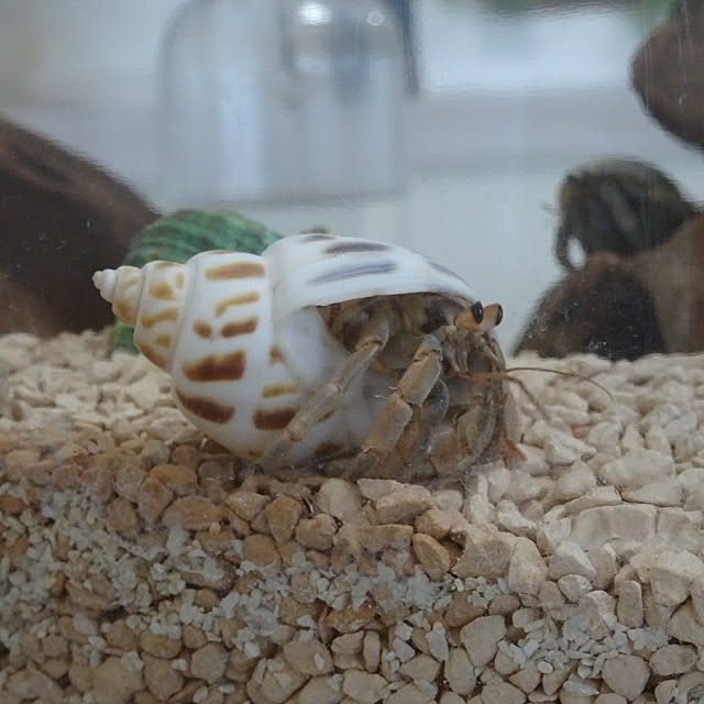 nanameさんの実例写真