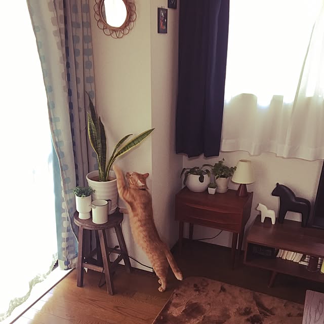 anzyさんの実例写真