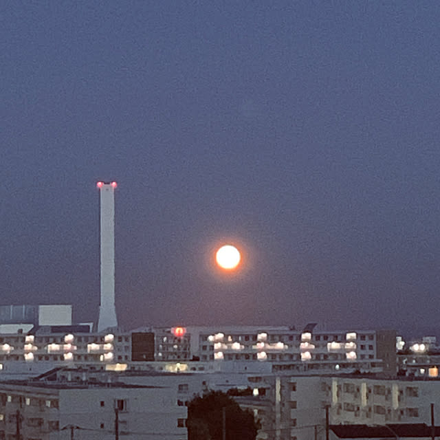 syutmmさんの実例写真