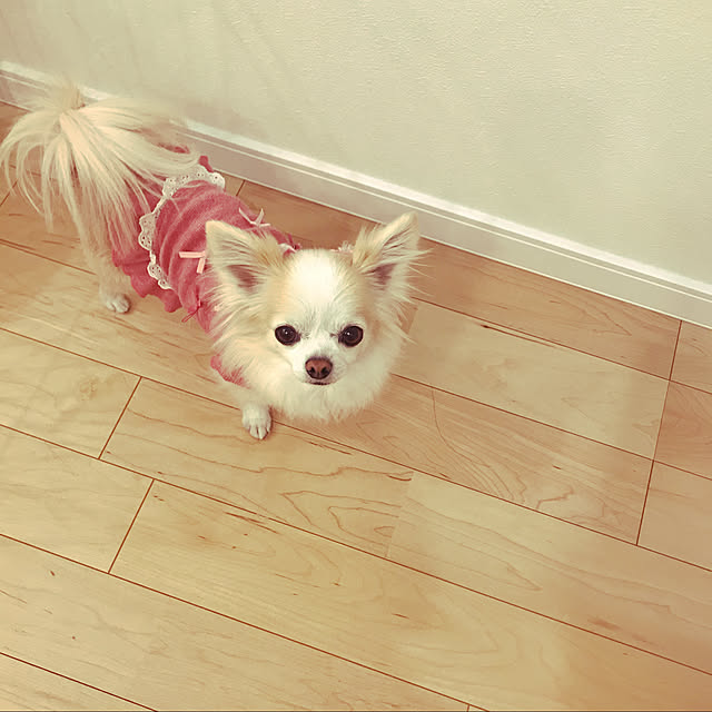 Sweetpeaさんの実例写真