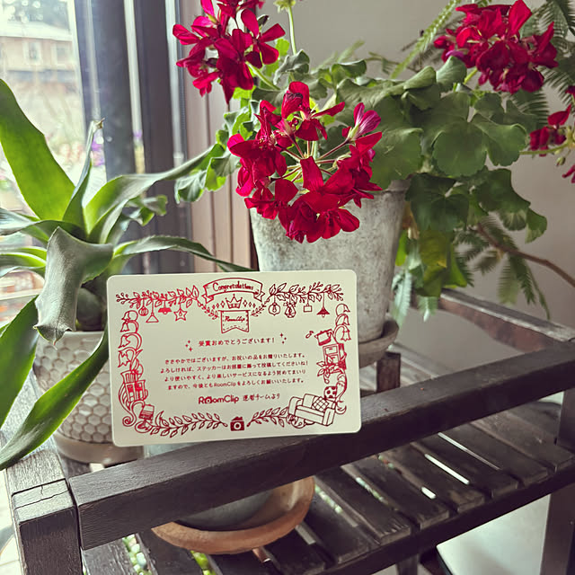 maimai0110さんの部屋