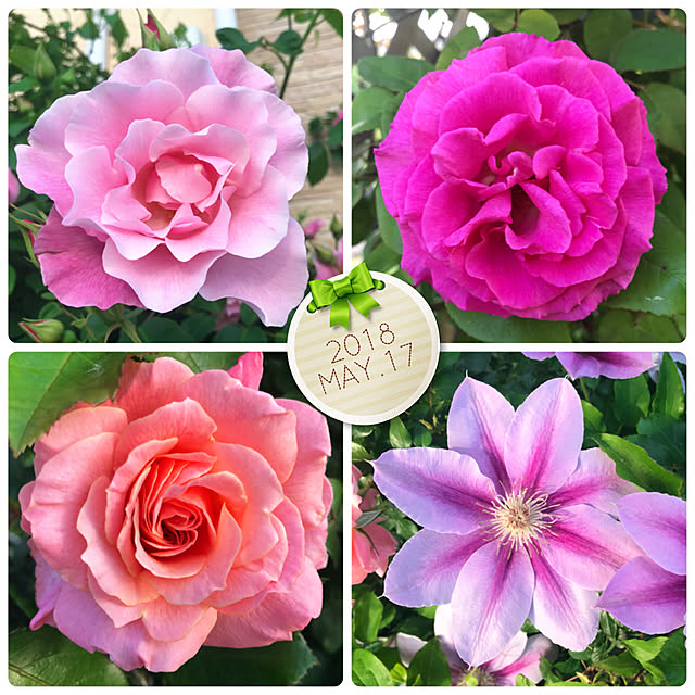 HappyRoseさんの実例写真