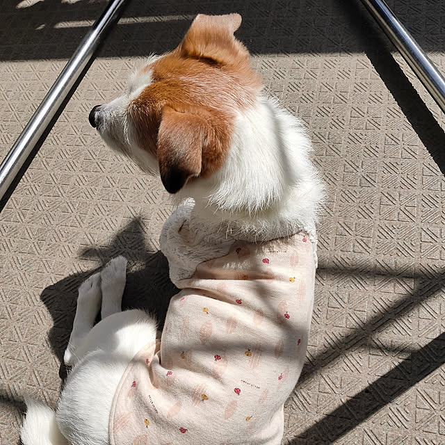 marosukeさんの実例写真
