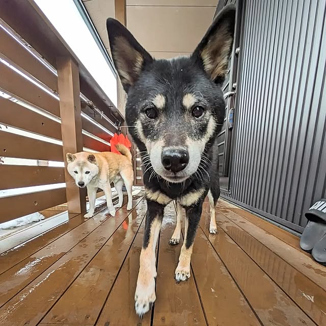ponhanaさんの実例写真