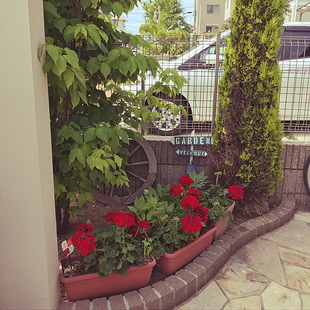実例写真