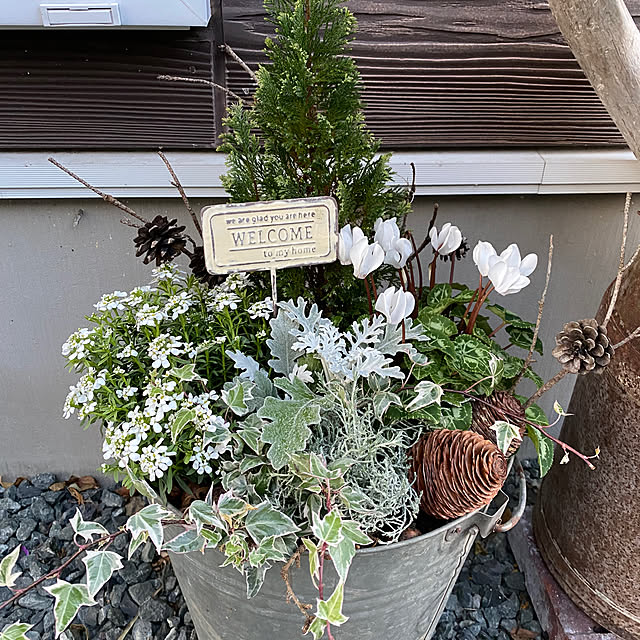 sattoさんの部屋