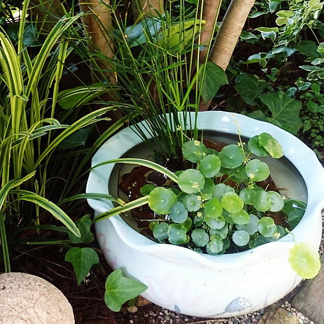 gardenさんの実例写真