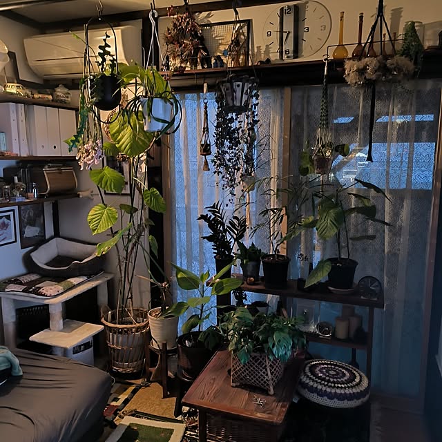 koyutan-mjmさんの部屋