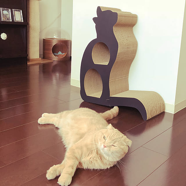 monyarizaさんの実例写真