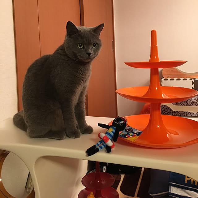 ikettenさんの実例写真