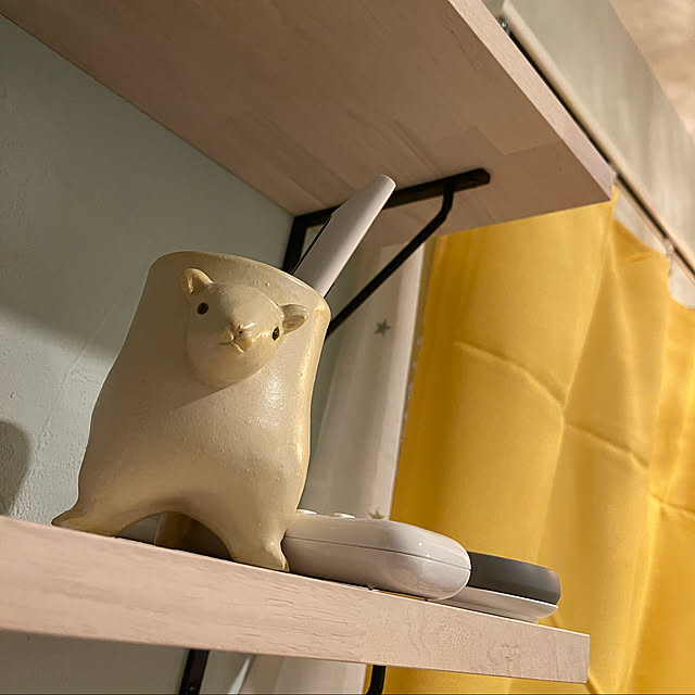 rinoppeさんの実例写真
