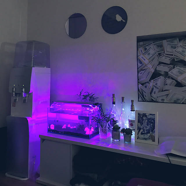 indigo_blueさんの実例写真
