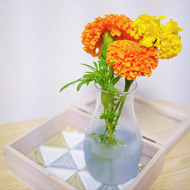 noel_misoさんの実例写真