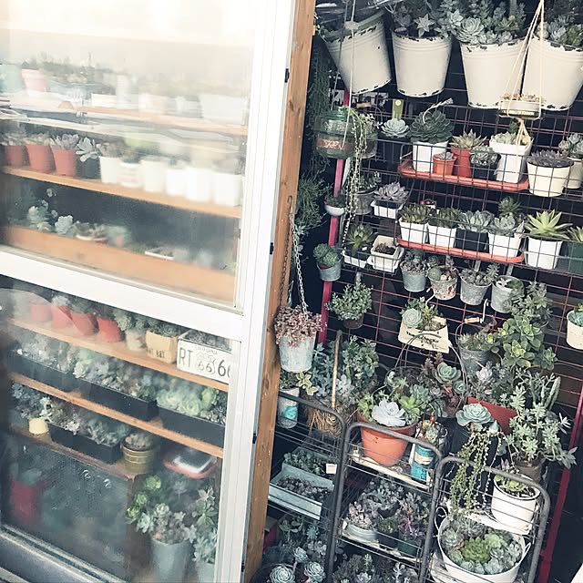 8717さんの実例写真