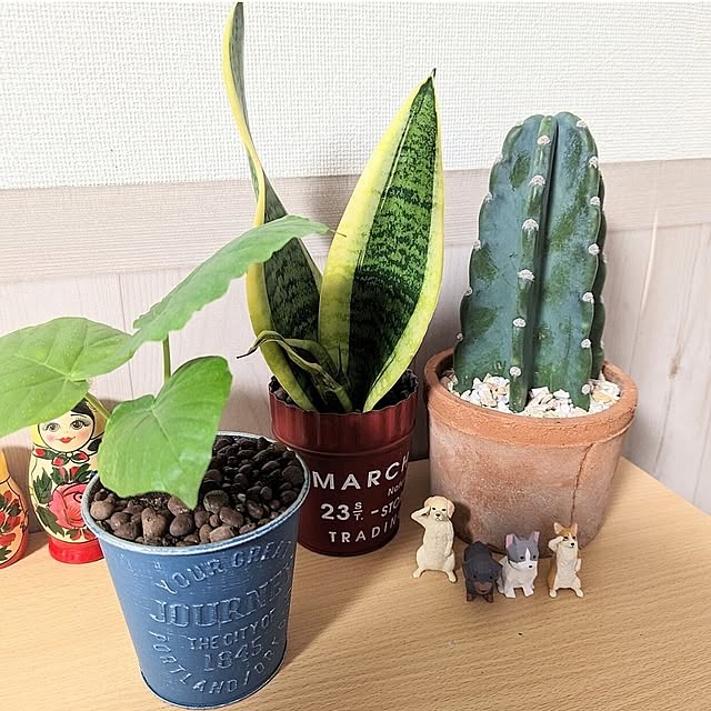 dadaさんの実例写真