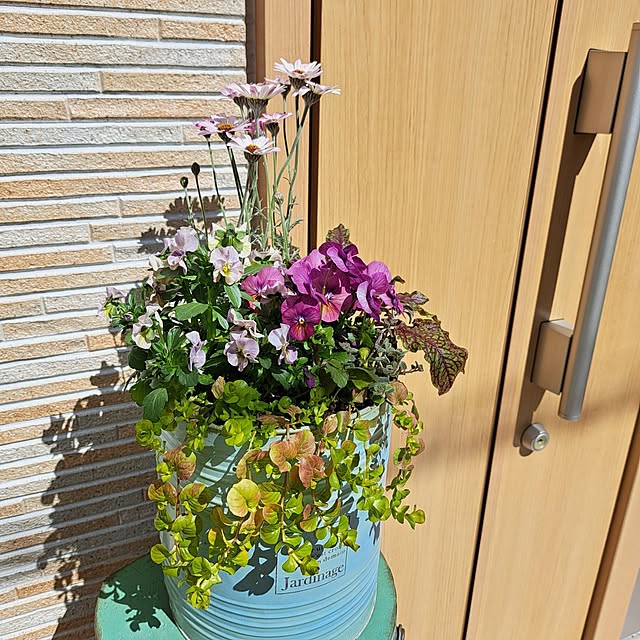 Jijiさんの部屋