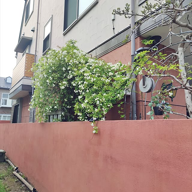 hiro3さんの部屋