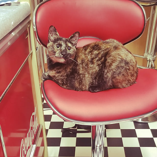lemoned1126さんの実例写真