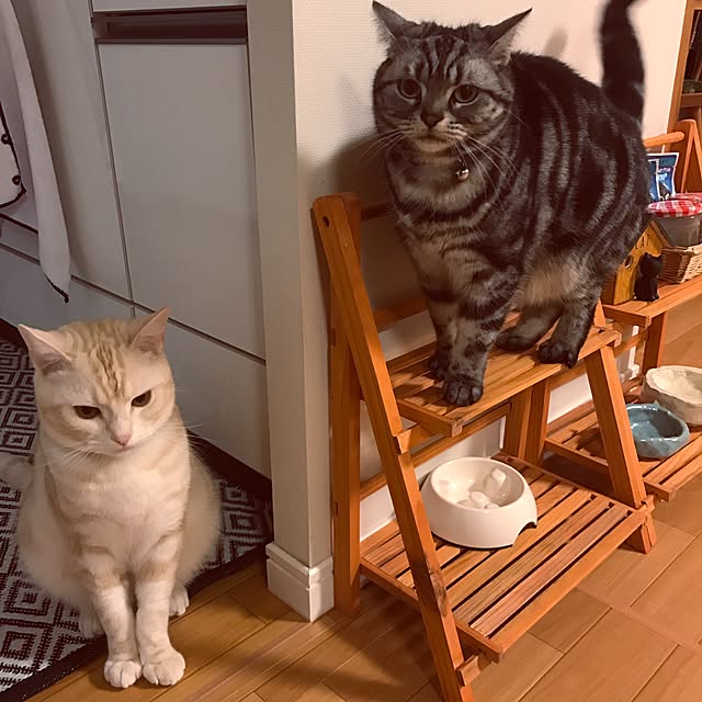 hiyupan88さんの実例写真