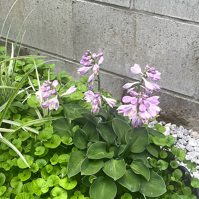 take_nokoさんの部屋