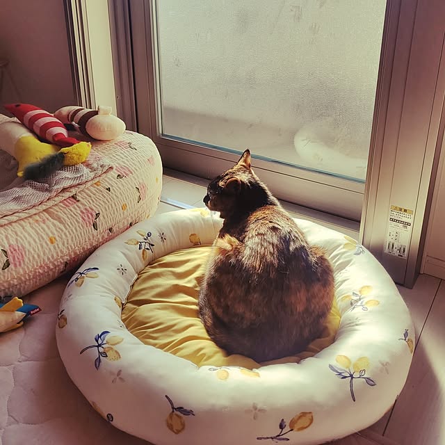 JIHYEさんの部屋