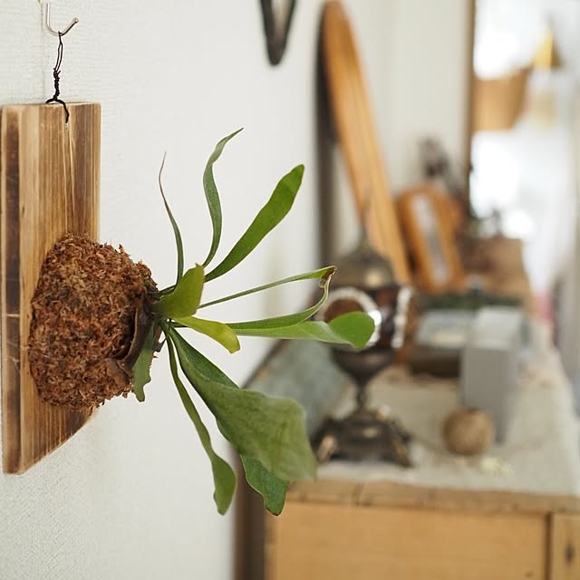 taeraさんの実例写真