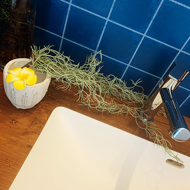 Eriuiさんの実例写真