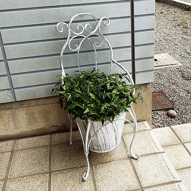nonkoさんの実例写真