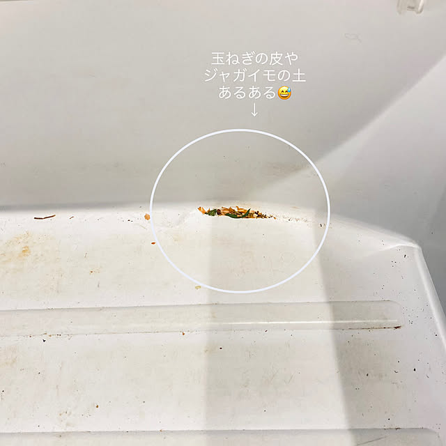 capelさんの部屋